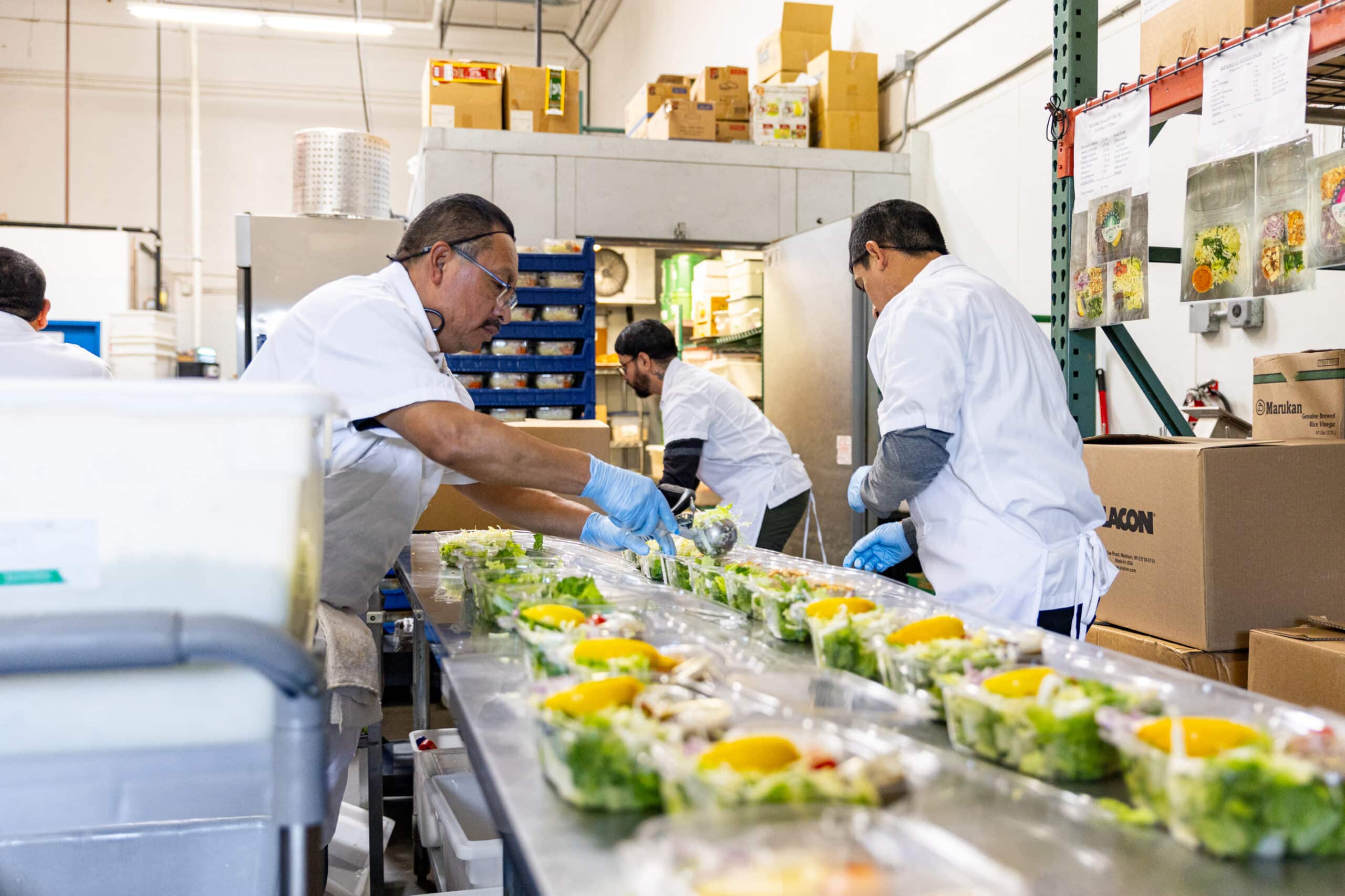 Rows of salads being packaged by factory employees